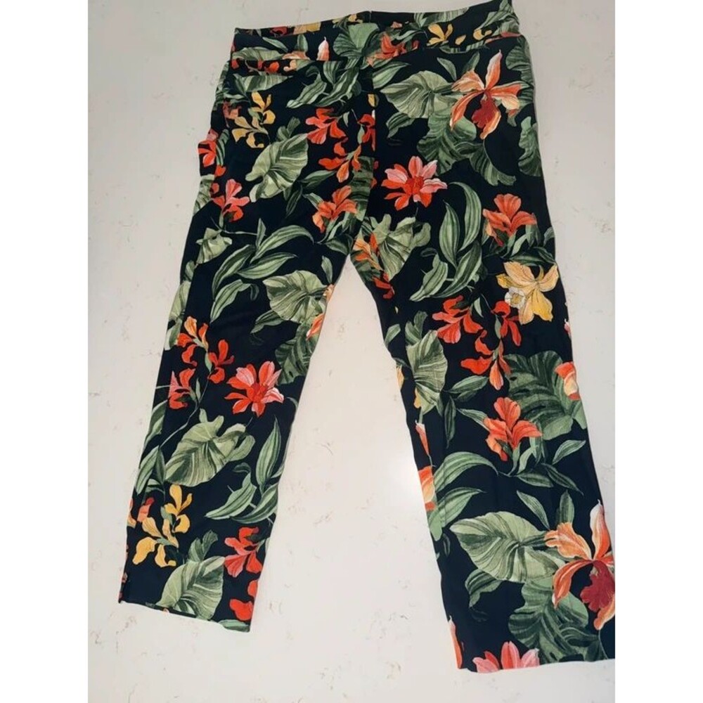 Chico’s size 2 tropical print pant